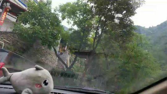 星期一上山做饭节目 2018-06-11 14点场