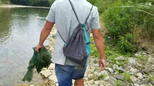 河道地笼，鱼儿多多多 2018-06-12 12点场