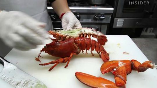 这样子的龙虾餐我就只能看看了。。。整只龙虾装盘再撒上诱人的