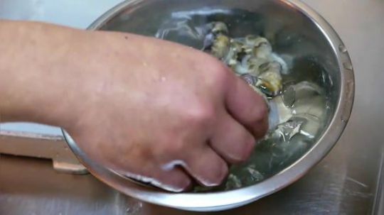 【日本美食】外星贝刺身