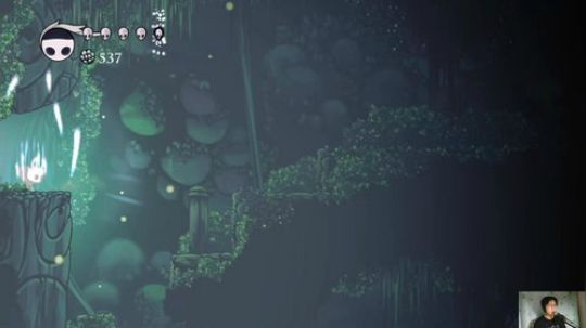 switch-空洞骑士 2018-06-13 21点场