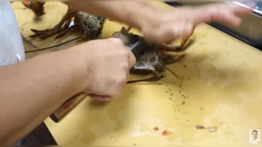 实拍日本大厨烹饪一只大龙虾！手法娴熟，游刃有余