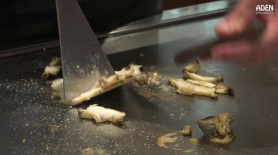 【街边美食】牛肉和鲍鱼的搭配，好奢侈~