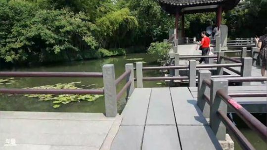 老王游西湖 雷峰塔 2018-06-14 13点场