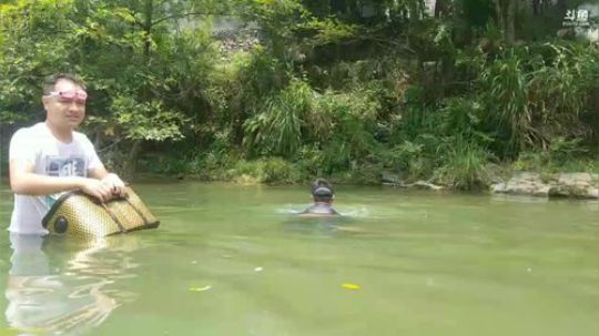 潜水摸鱼比赛一起来 2018-06-16 11点场