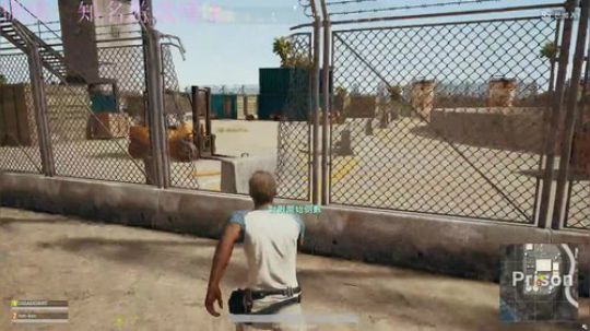 一只白色的老锐雯 2018-06-17 16点场