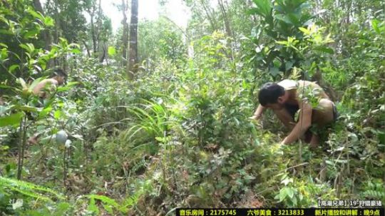 西北老狼哥哥发布了一个斗鱼视频2018-06-19