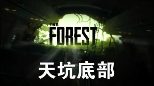 【默默】森林 全道具位置+剧情详解视频#6（天坑底部）