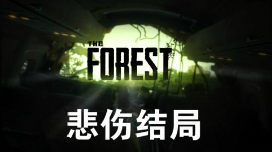 【默默】森林 全道具位置+剧情详解视频#8（悲伤结局）