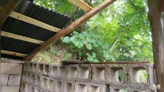 欢迎高老八入住高老庄 2018-06-22 10点场