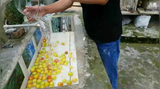 今天做点啥菜 2018-06-24 15点场