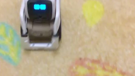 他叫cozmo我的新朋友