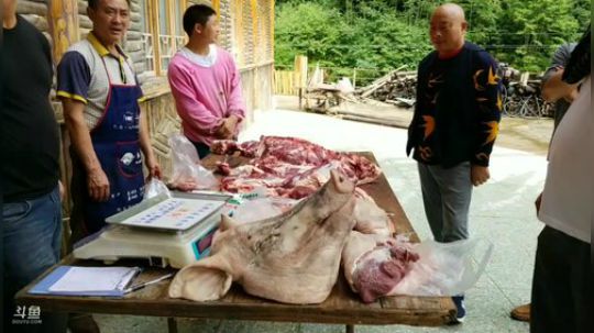 老乡说有野猪？ 2018-06-27 09点场