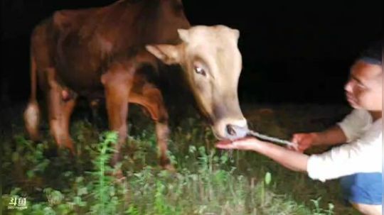 干黄石水库荧光棒都留着。 2018-06-27 20点场