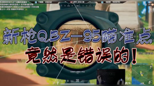 新枪QBZ95的惊人BUG！【骚猪45期】