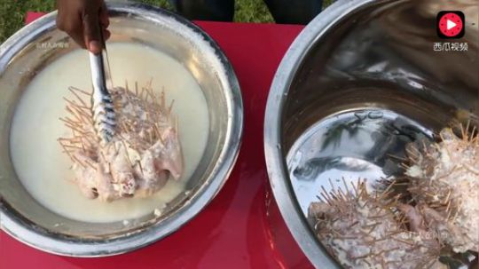 【印度针灸炸鸡】这次是炸的是整只鸡，看起来真心不错，想吃。.