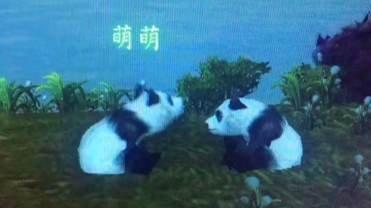 跟我一起变熊猫