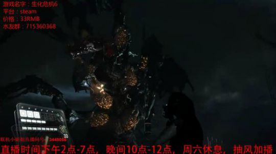 双人联机，恐怖动作类2018-06-28 23点场
