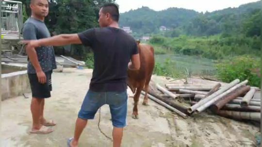 八总预测世界杯， 2018-07-01 18点场