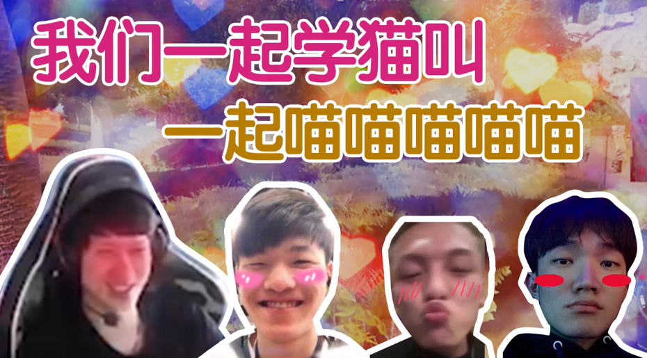 绝地求生YJJ:我们一起学猫叫，一起喵喵喵喵喵？