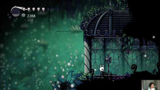 switch-空洞骑士 2018-07-02 21点场