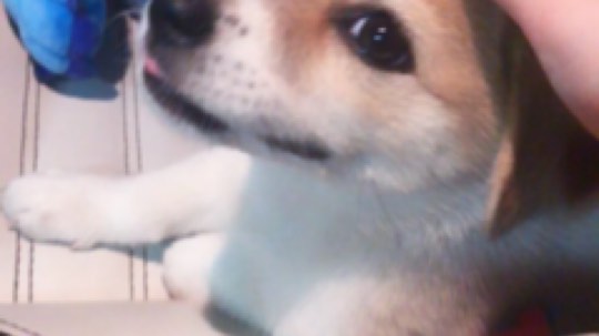 老二回来啦 谢谢大家的关心～