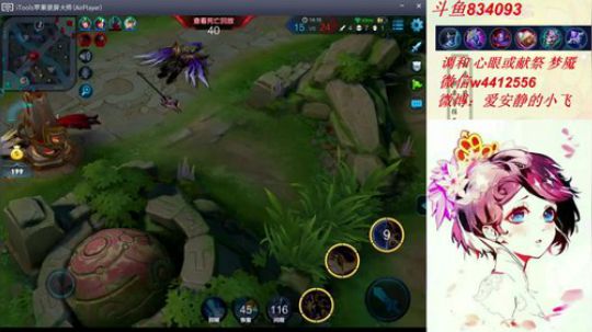 小飞：新赛季冲王者 2018-07-04 21点场
