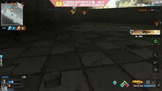 老虎xyang-没错，会鸽就是了不起 2018-07-02 22点场