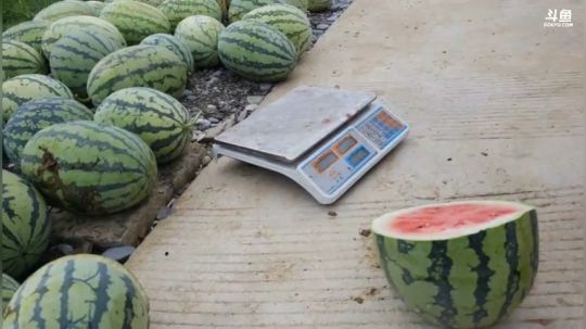 谁是魅力的瓜王？ 2018-07-07 11点场