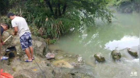 魅力一年一度钓鱼大赛 2018-07-08 09点场