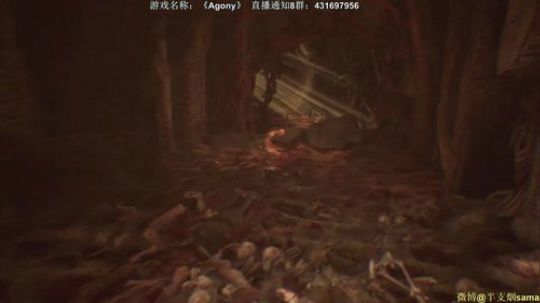 恐怖游戏之魂 2018-07-08 21点场