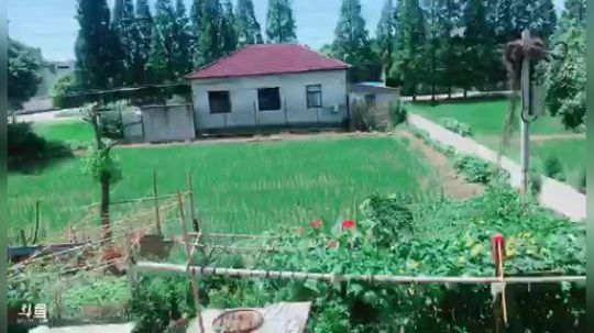 歌神吃鸡之路~~~~ 2018-07-10 10点场