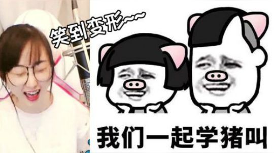 我们一起学猪叫，哈哈哈哈