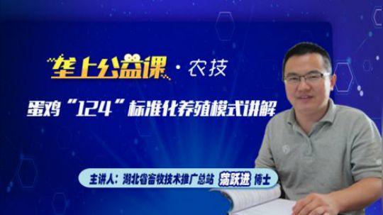 蛋鸡“124”标准化养殖模式