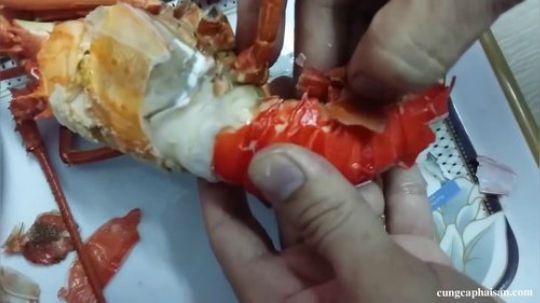 我不吃，我就是看看，我cao龙虾
