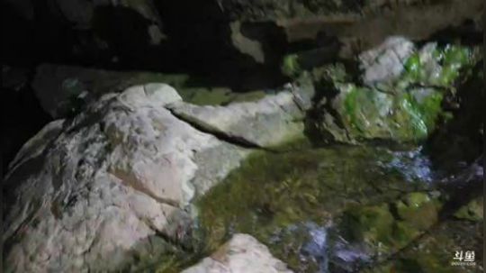 水下视角怼巨货 2018-07-15 22点场