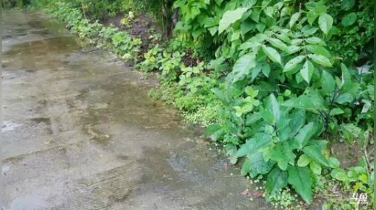 再换个山头看看 2018-07-15 16点场