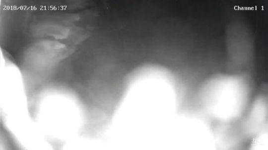 老二认真做几个菜给他们吃。 2018-07-16 21点场