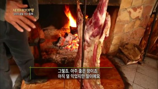 阿根廷巴塔哥尼亚家庭烤全羊.