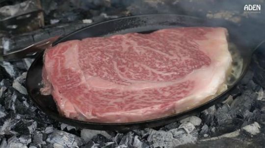 【营火美食】260美元的神户牛肉