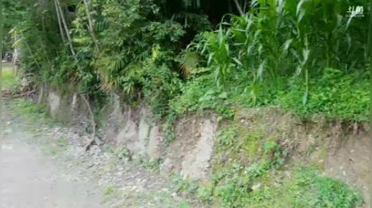 我满血复活啦 2018-07-18 15点场