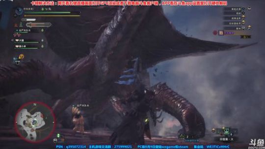 【皮皮】PC怪物猎人世界，为萌新扫盲 2018-07-16 17点场