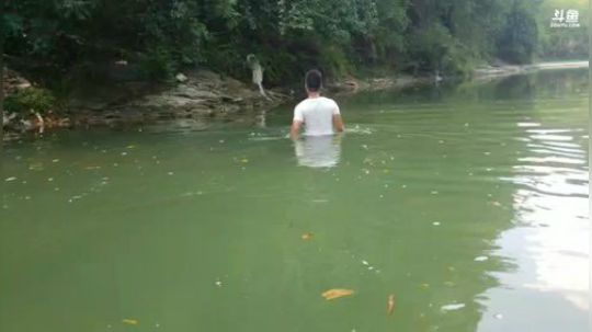 早起收地笼钩甲鱼。 2018-07-21 10点场