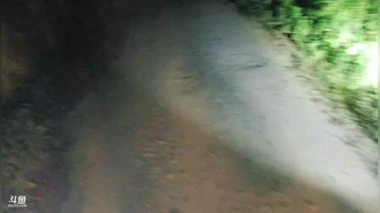 魅力美食：征菜系列。 2018-07-21 19点场