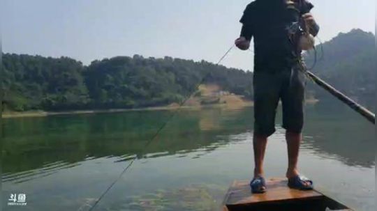 早起收笼，鱼虾多多 2018-07-22 09点场