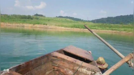 早起收笼，鱼虾多多 2018-07-22 09点场