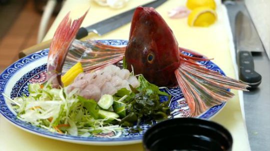 【日本美食】展开的美鳍-海罗宾鱼，美味一鱼多吃