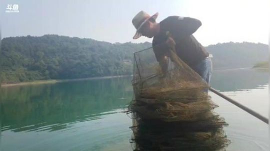 早起收笼，鱼虾多多 2018-07-22 07点场