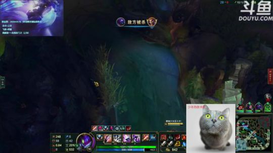 亚索 剑魔 青钢影 猴子 2018-07-20 02点场