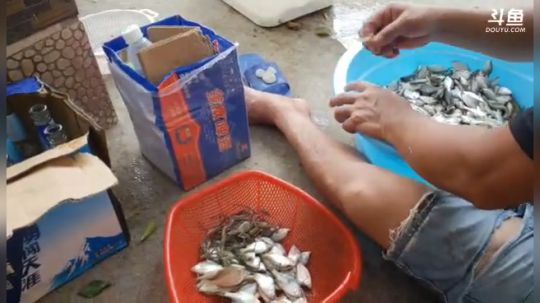 鱼虾一锅美滋滋 2018-07-25 13点场